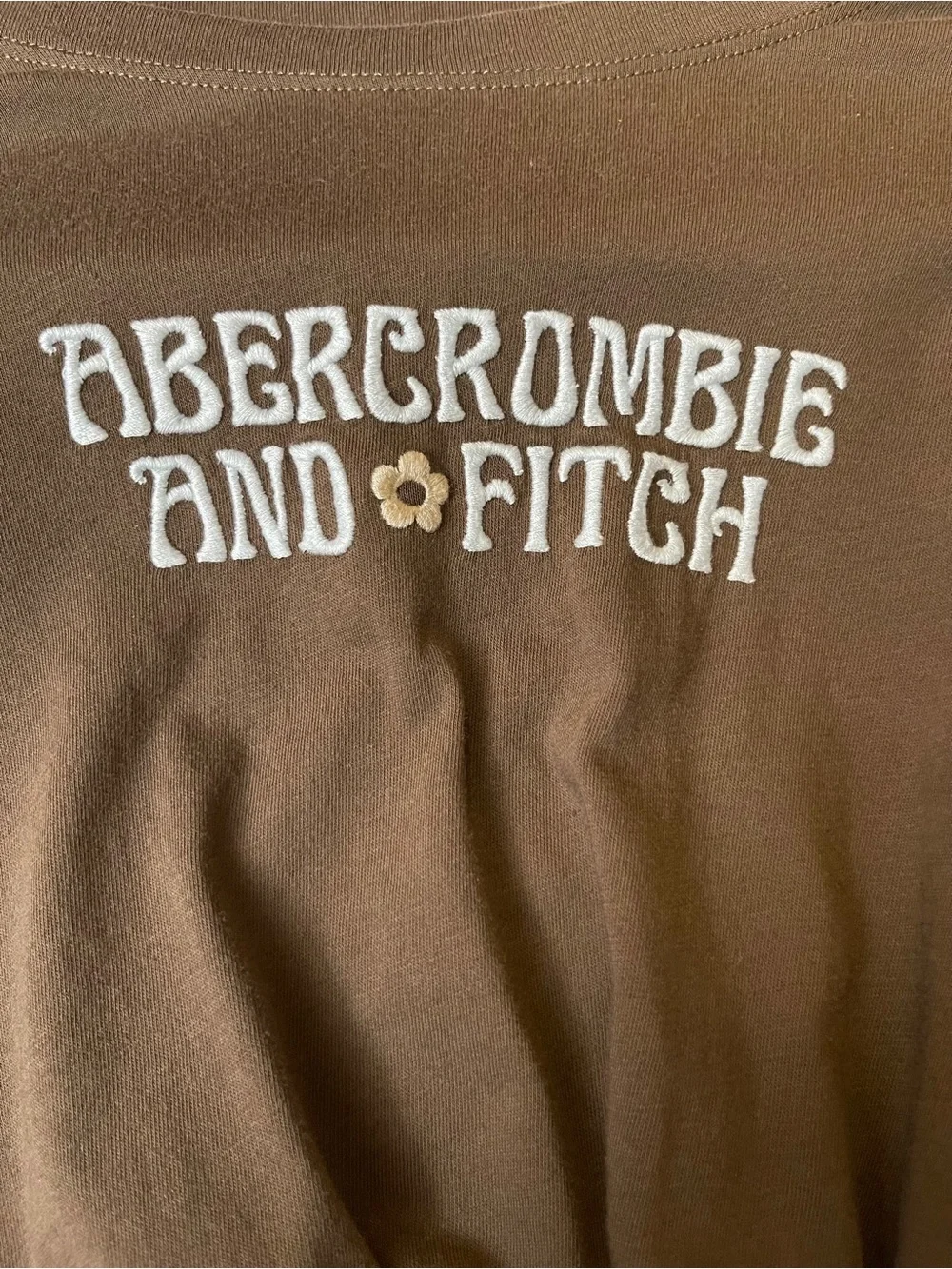 Abercrombie & Fitch Brown Knotted Baby tee Y2K Casual Fitted Embroidered Top XS
